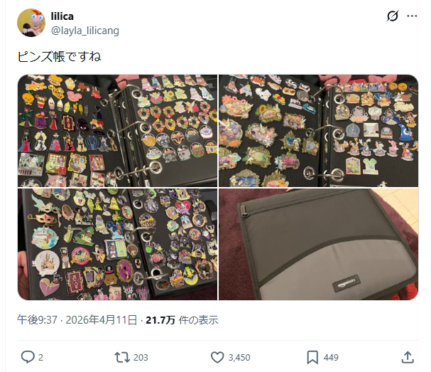 特大サイズのピンズ帳の画像が並んでいる